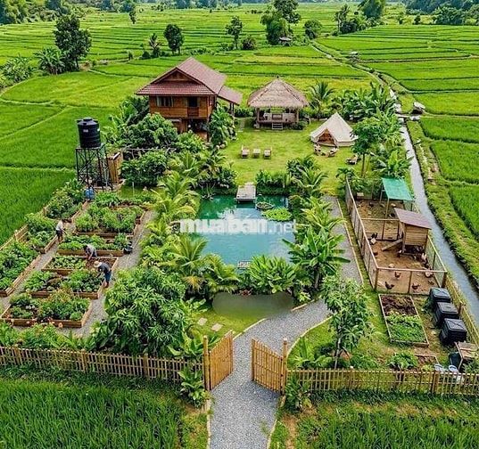 Bán Đất nằm mặt tiền lộ Cái Chanh DT 1.306,2m²,có 160m2 thổ cư