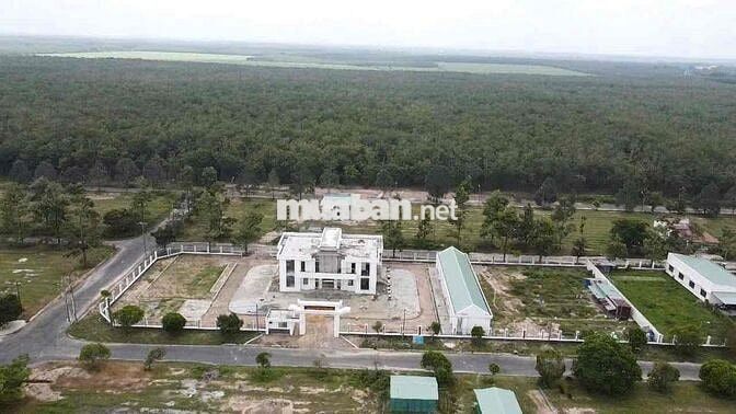 Đất Nền Chính Chủ Tái Định Cư full Thổ Cư Cần Bán.