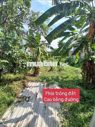 đất 11X40 thổ 200m, Xã phước Vĩnh an Củ Chi,  ngay Tĩnh lộ 2