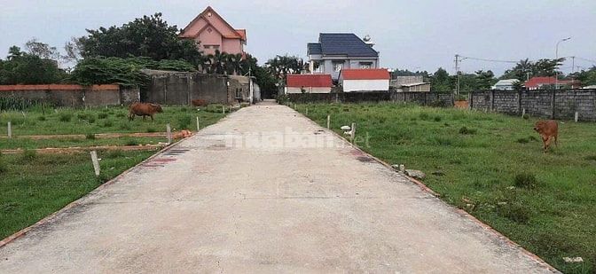 Đất chính chủ bán gấp 86m2 giá 950tr tại xã Tân Phú Trung. Giáp HM