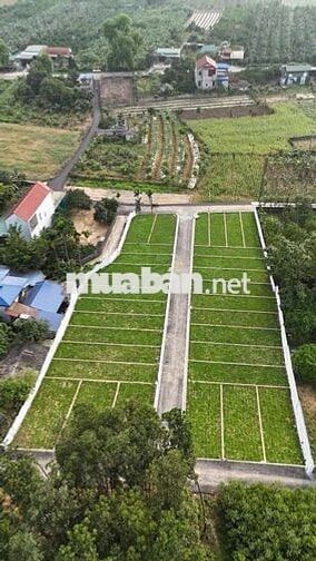 Đất nền Hoà Bình lô góc cực đẹp giá mềm