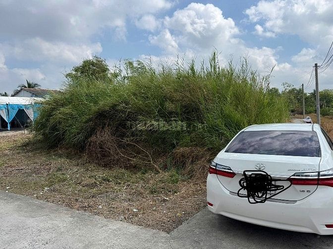 Cần bán đất thổ cư xã Tân lân đường 19/5