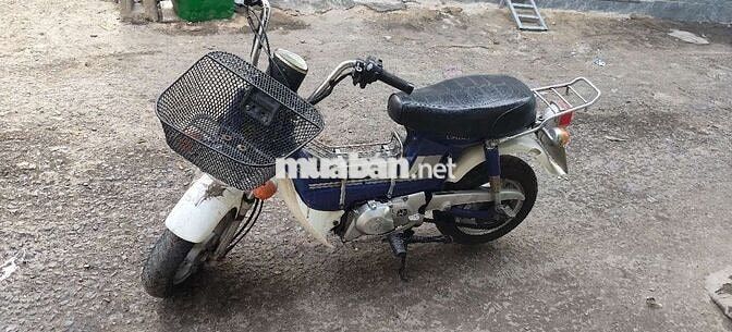 Honda Chaly Xanh trắng