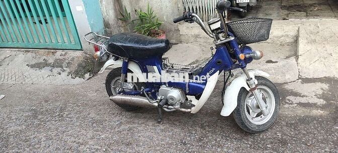 Honda Chaly Xanh trắng