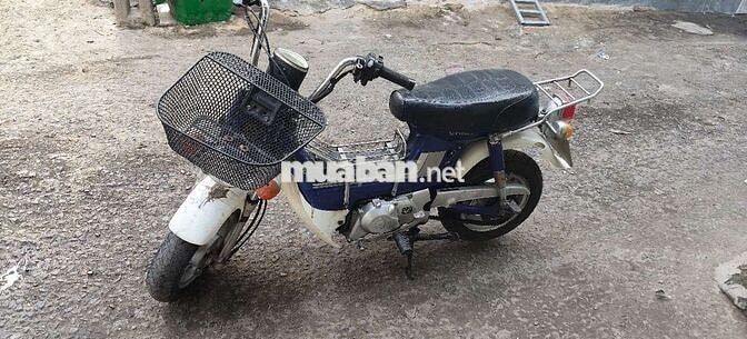 Honda Chaly Xanh trắng