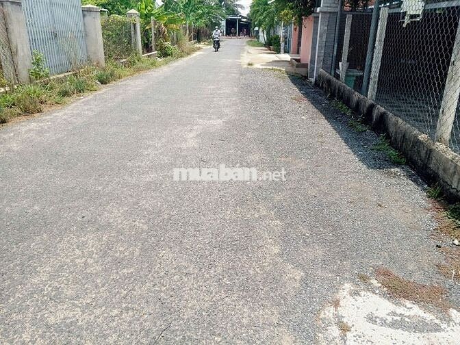 Bán đất 100m2 tại Bùi Thanh Xuân, Xã Gia Lộc, H. Trảng Bàng, 490 triệu