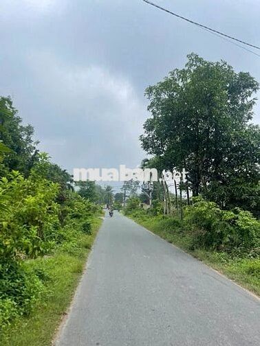 Xã Thái Mỹ 5m MT 1/TL7 297m² sẵn 100m² thổ liên hệ ngay 1,55 Tỷ