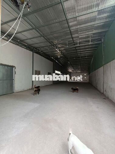  KHO 250M2 LINH TÂY-  SẴN ĐIỆN 3 PHA - KHO CHỨA HÀNG/ XƯỞNG NHỎ/ONLINE