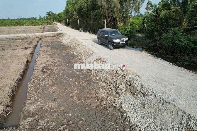 320tr 500mv thích hợp làm vườn