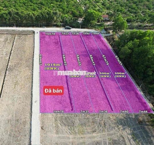 320tr 500mv thích hợp làm vườn