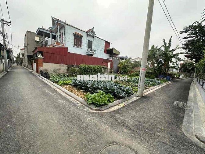 🚨 CHỦ GIẢM CHÀO CHO CÁC NHÀ ĐẦU TƯ THÔNG THÁI