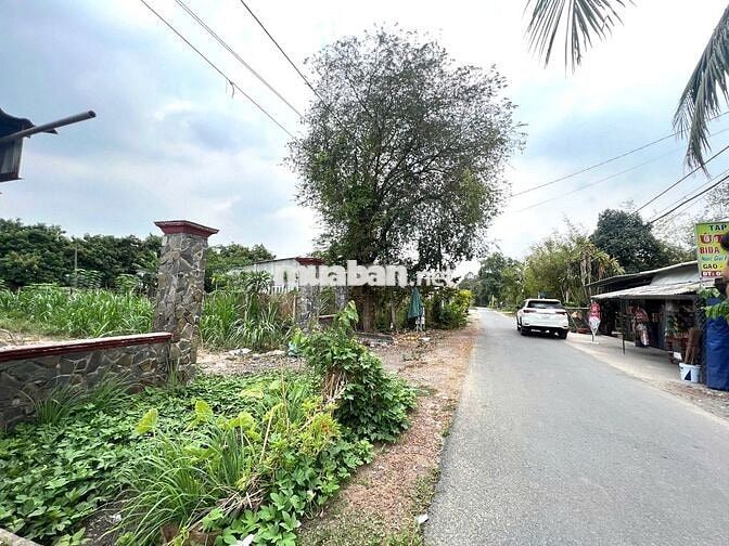 Lô đất đẹp giá tốt tại xã Phước Thạnh. Diện tích 188m2, giá 800 triệu