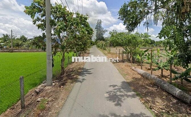 Ngộp! Bán lô đất mt Trung Hưng, dt 1.168m2, có 137m2 thổ cư, TLT 