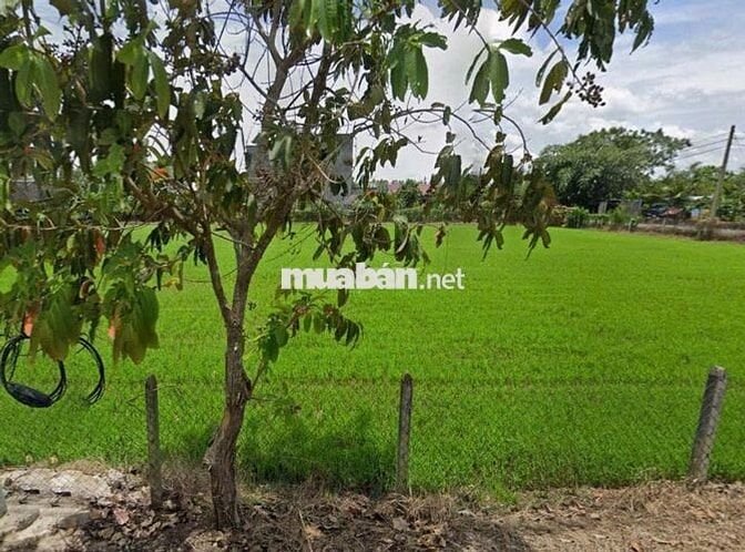 Ngộp! Bán lô đất mt Trung Hưng, dt 1.168m2, có 137m2 thổ cư, TLT 