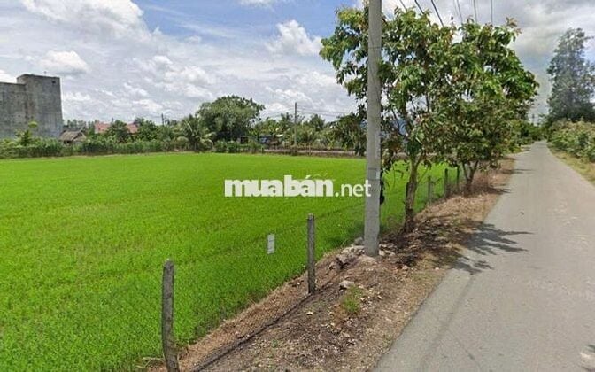 Ngộp! Bán lô đất mt Trung Hưng, dt 1.168m2, có 137m2 thổ cư, TLT 