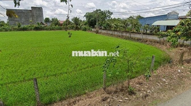 Ngộp! Bán lô đất mt Trung Hưng, dt 1.168m2, có 137m2 thổ cư, TLT 