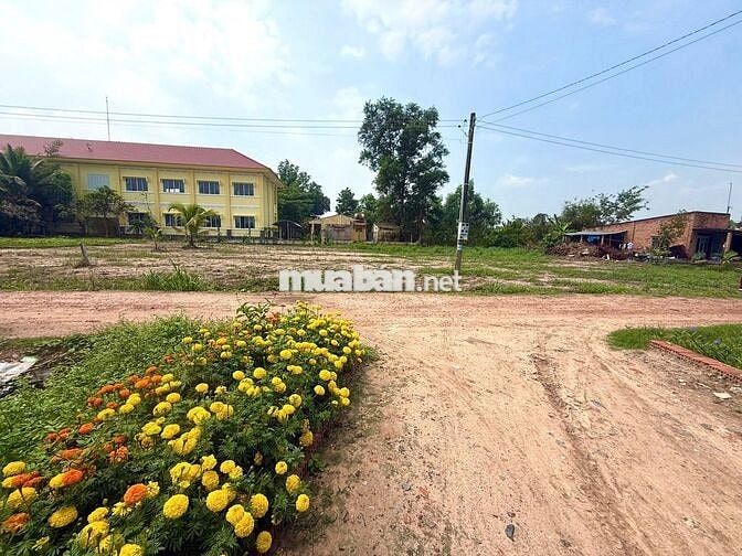 Cần bán gấp lô đất phường An Tịnh, Tây Ninh. DT 146m2, giá 500 triệu