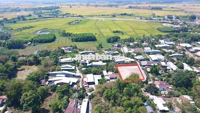 Đất đẹp nhanh tay thì còn-An Hòa-Tây Ninh 150m2 thổ cư-800tr-Sổ Riêng