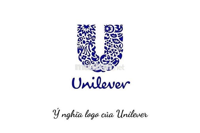 TUYỂN NHÂN VIÊN KINH DOANH THỊ TRƯỜNG - UNILEVER