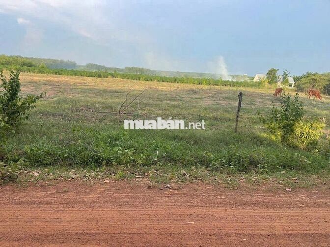 Bán đất tại Thôn 1, Nguyễn Thị Minh Khai, 13,2 tỷ, 21458 m2 Ghi chú