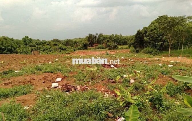 Bán đất tại Thôn 1, Nguyễn Thị Minh Khai, 13,2 tỷ, 21458 m2 Ghi chú