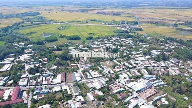 Đất đẹp nhanh tay thì còn-An Hòa-Tây Ninh 150m2 thổ cư-800tr-Sổ Riêng