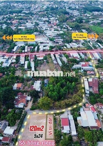 Đất đẹp nhanh tay thì còn-An Hòa-Tây Ninh 150m2 thổ cư-800tr-Sổ Riêng