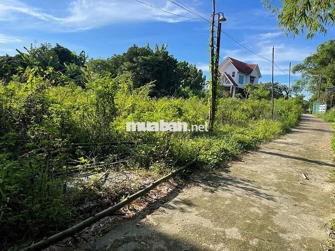 Chính chủ bán đất mặt tiền đường Nguyễn Bỉnh Khiêm, 590 triệu, 105m2