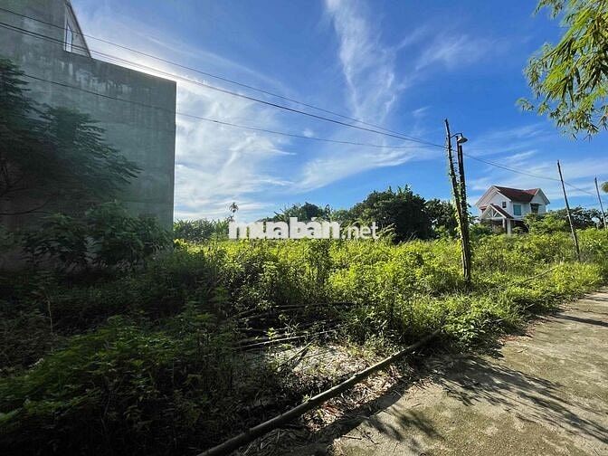 Chính chủ bán đất mặt tiền đường Nguyễn Bỉnh Khiêm, 590 triệu, 105m2