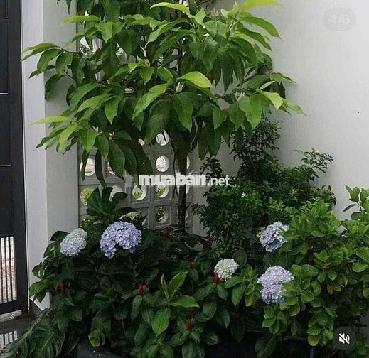 🏡 CHO THUÊ NHÀ PHỐ HOÀ XUÂN – NHÀ MỚI 100%, FULL NỘI THẤT CAO CẤP