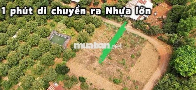 499tr Đất Full thổ Cẩm Mỹ Đồng Nai