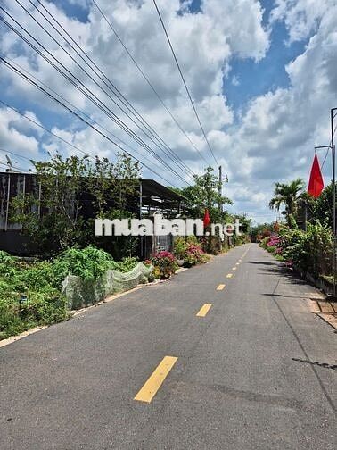 343m2 Nhựa An Linh Ngay Chợ An Linh Gía Full 600tr Ngay Khu Dân Cư