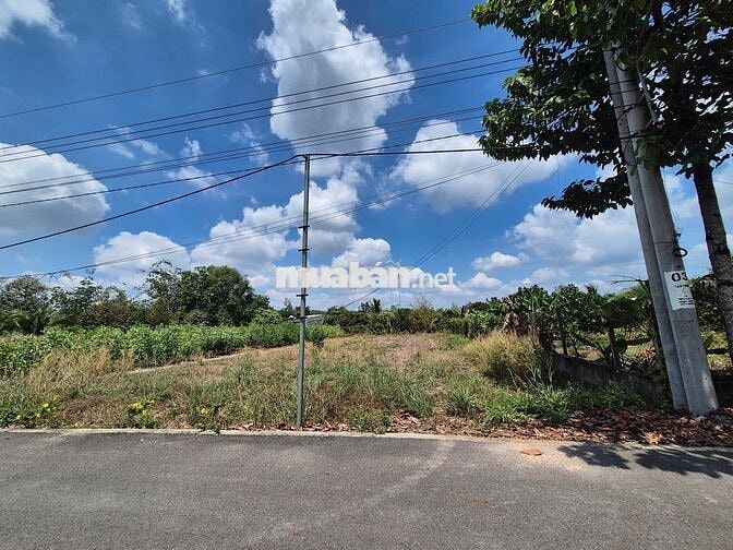343m2 Nhựa An Linh Ngay Chợ An Linh Gía Full 600tr Ngay Khu Dân Cư