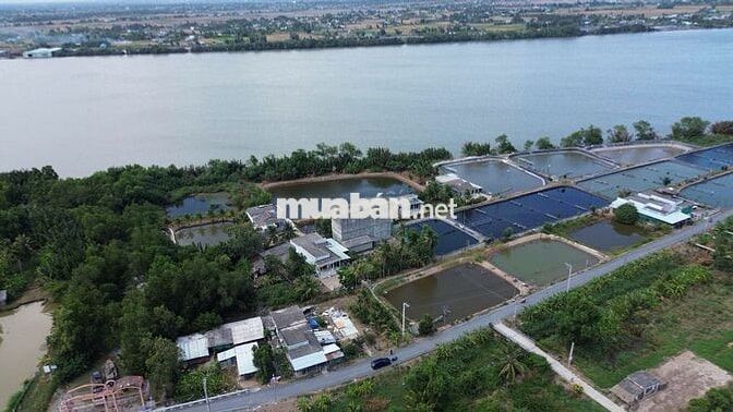 Chỉ 250 triệu đất mặt tiền ĐH83, xã Tân Phú, Tân Phú Đông, Tiền Giang 