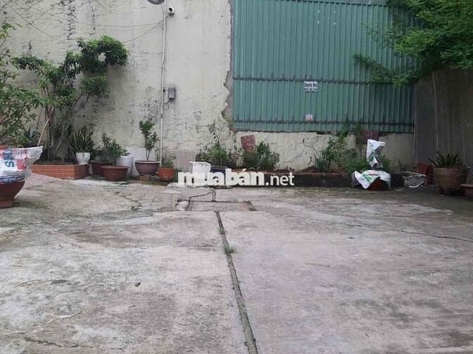 🌺Cần bán nền đất đường 12m Nguyễn quý Yêm- An lạc- qu