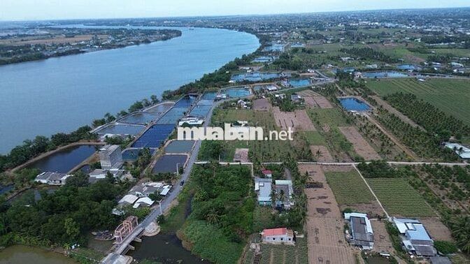 Chỉ 250 triệu đất mặt tiền ĐH83, xã Tân Phú, Tân Phú Đông, Tiền Giang 
