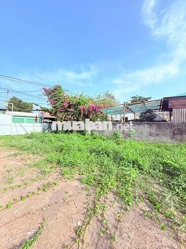 Chính chủ cần bán gấp mặt tiền Đỗ Văn Dậy, diện tích 1877m2 full thổ .