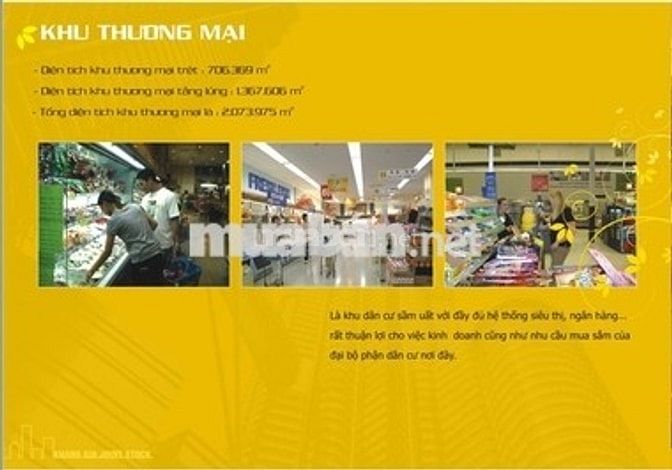 Chính Chủ Cho thuê KHANG GIA TÂN HƯƠNG , 2PN, 65m2, NTCB , Giá 8tr