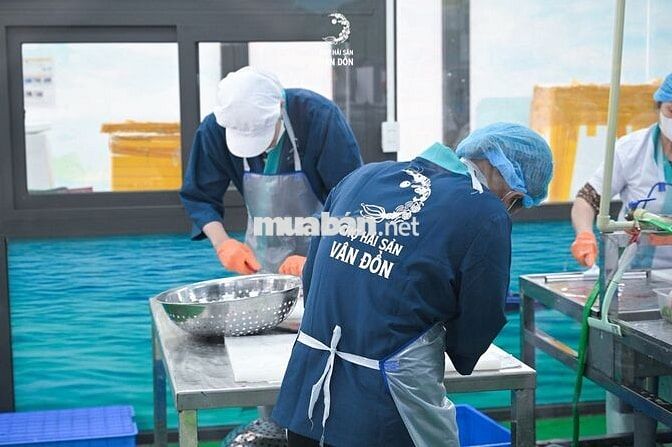 Tuyển dụng phụ bếp sơ chế hải sản