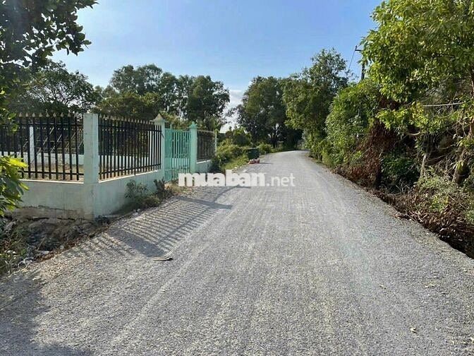 Bán lô đất 10×42m(420m2) xã Qui Đức, huyện Bình Chánh
