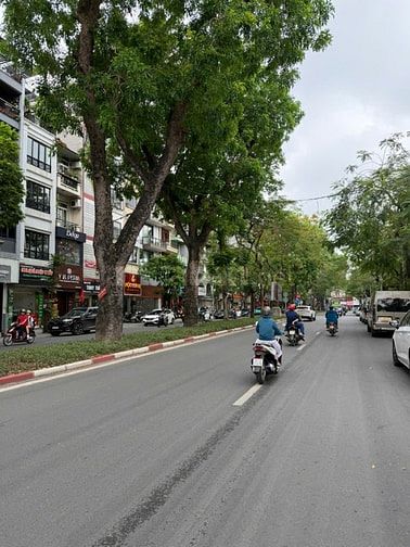 Bán nhà mặt phố siêu VIP Lê Hồng Phong, Ba Đình, 105m2, mặt tiền 6.5m