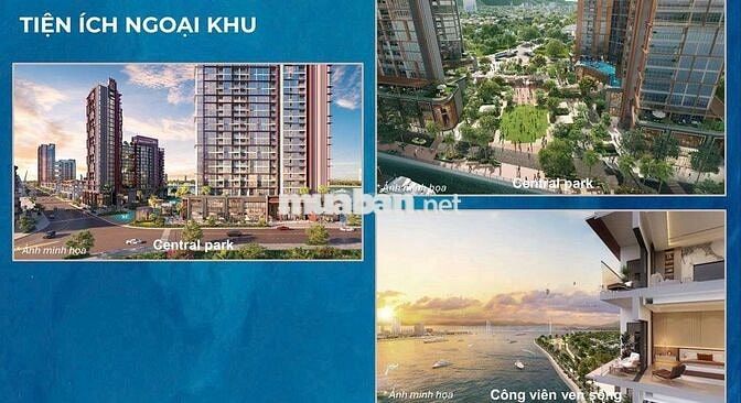 Symphony 5 - View sông và pháo hoa, giá từ 2 TỶ, cơ hội hiếm