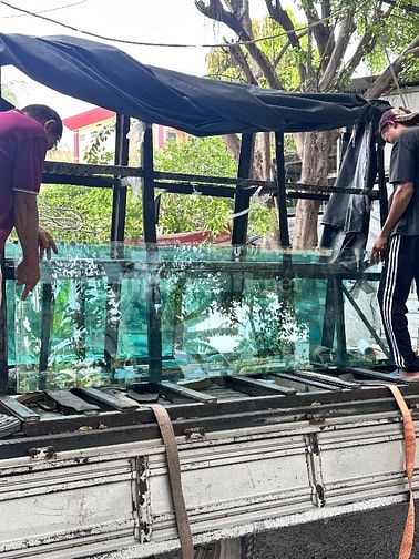CẦN TUYỂN NHÂN VIÊN LÁI XE TẢI 1.9 TẤN