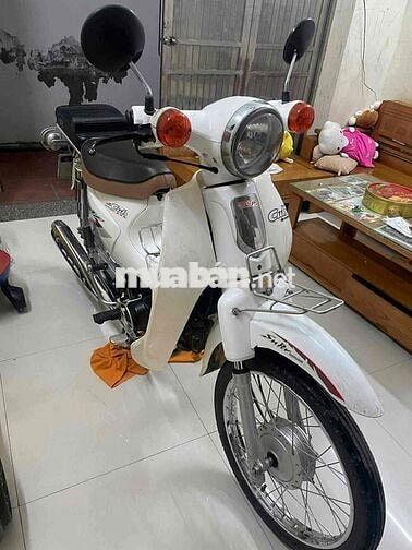 Xe Cub màu Trắng