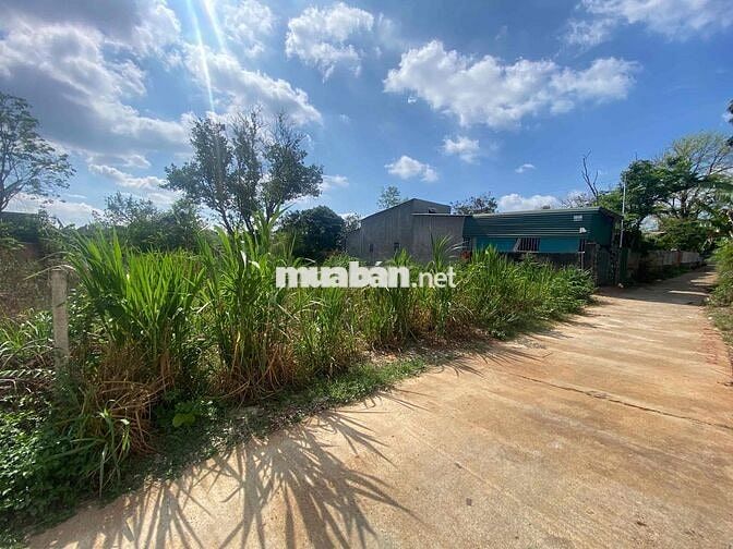 🏡 BÁN 2 LÔ ĐẤT LIỀN KỀ - PHƯỜNG KHÁNH XUÂN – GIÁ TỐT ĐẦU TƯ 🏡