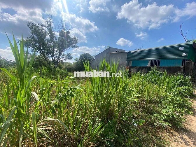 🏡 BÁN 2 LÔ ĐẤT LIỀN KỀ - PHƯỜNG KHÁNH XUÂN – GIÁ TỐT ĐẦU TƯ 🏡