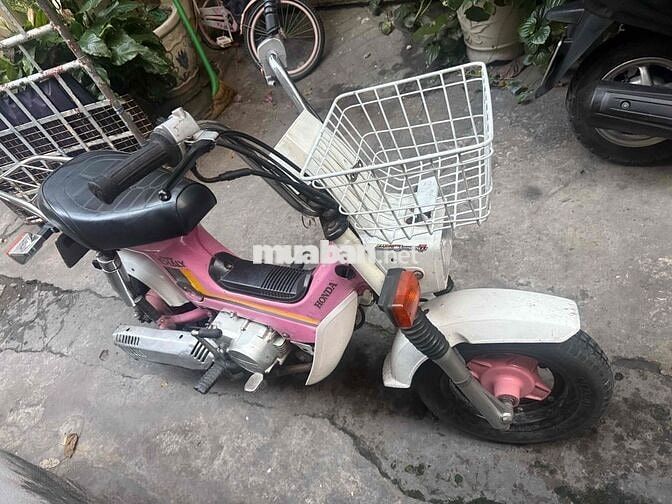 Honda Chaly 50cc nhut doi 1984 Hồng, Trắng