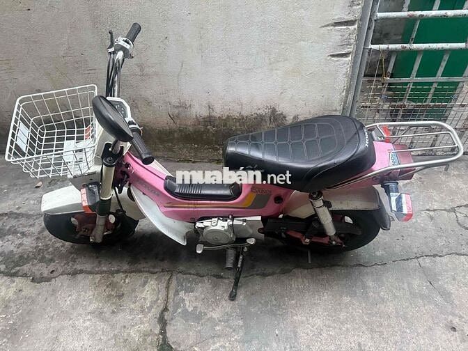Honda Chaly 50cc nhut doi 1984 Hồng, Trắng