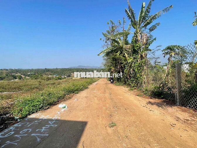 Đất hẻm 451/119 Y Moan, Phường BMT