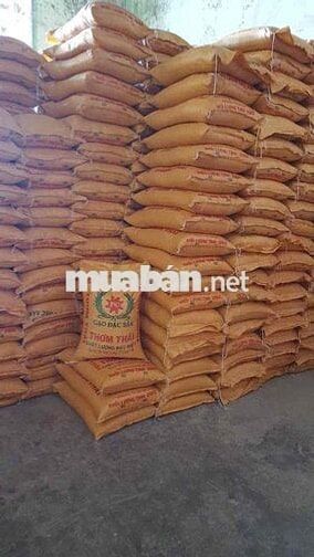 tuyển dụng làm Nhà máy gạo Phi Cúc